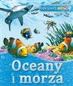 Oceany i morza - Stephen Savage