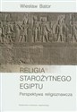 Religia starożytnego Egiptu Perspektywa religioznawcza bookstore
