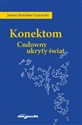 Konektom Cudowny ukryty świat  