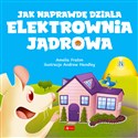 Jak naprawdę działa elektrownia jądrowa pl online bookstore