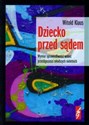 Dziecko przed sądem Wymiar sprawiedliwości wobec przestępczości młodszych nieletnich  