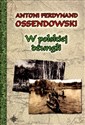 W polskiej dżungli pl online bookstore