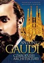 Antoni Gaudi Czarodziej architektury books in polish