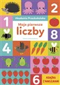 Akademia Przedszkolaka Moje pierwsze liczby - Dorina Auksztulewicz