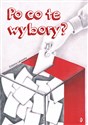 Po co te wybory? - Elżbieta Lakowska
