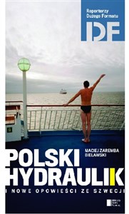 Polski hydraulik i inne opowieści ze Szwecji in polish