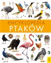 Encyklopedia ptaków - Paweł Zalewski