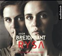 [Audiobook] Rysa - Igor Brejdygant Bookshop