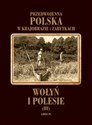 Wołyń i Polesie - Prof. Tadeusz Szydłowski  