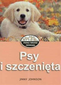 Psy i szczenięta  