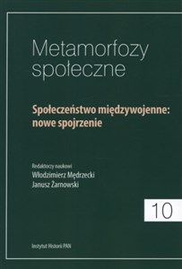 Metamorfozy społeczne Społeczeństwo międzywojenne: nowe spojrzenie chicago polish bookstore