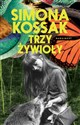 Trzy żywioły  - Simona Kossak