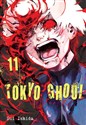 Tokyo Ghoul. Tom 11  