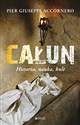 Całun Historia, nauka, kult - Giuseppe Anccornero Pier in polish