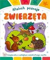 Maluch poznaje Zwierzęta Książeczka z naklejkami wielokrotnego użytku Polish bookstore