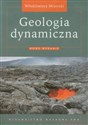 Geologia dynamiczna - Włodzimierz Mizerski bookstore