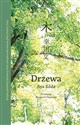 Drzewa - Aya Kōda