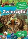 Zwierzęta Panoramy z naklejkami pl online bookstore