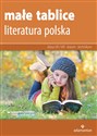 Małe tablice Literatura polska 2019 to buy in USA
