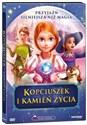 Kopciuszek i kamień życia DVD polish books in canada