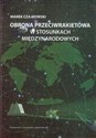 Obrona przeciwrakietowa w stosunkach międzynarodowych  