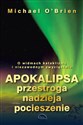 Apokalipsa przestroga nadzieja pocieszenie pl online bookstore