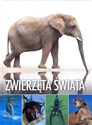 Zwierzęta świata Bookshop