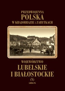 Województwo lubelskie i białostockie Tom 10 - Polish Bookstore USA