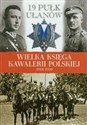 19 Pułk Ułanów Wołyńskich  in polish