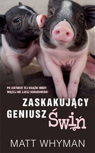 Zaskakujący geniusz świń  