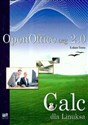 OpenOffice 2.0 Calc dla systemu Linux polish usa