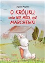 O króliku, który nie mógł jeść marchewki  - Agata Magnes