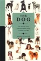 The Dog online polish bookstore