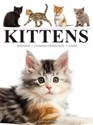 Kittens  buy polish books in Usa