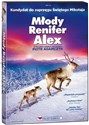 Młody renifer Alex DVD buy polish books in Usa