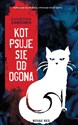 Kot psuje się od ogona  