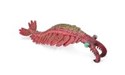 Anomalocaris - 
