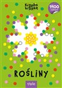 Rośliny. Kropka w kropkę  polish books in canada