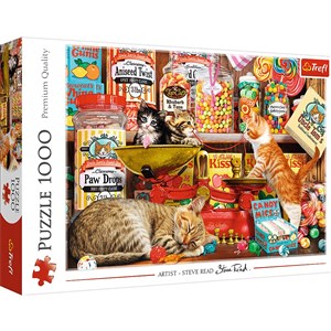 Puzzle 1000 Kocie słodkości 10630 pl online bookstore