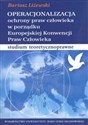 Operacjonalizacja ochrony praw człowieka w porządku Europejskiej Konwencji Praw Człowieka buy polish books in Usa