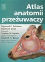 Atlas anatomii przeżuwaczy polish usa