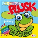 Kolorowy plusk Jezioro - Mirosława Kwiecińska