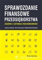 Sprawozdanie finansowe przedsiębiorstwa zgodnie z ustawą o rachunkowości - Joanna Sawicka, Anna Stronczek, Elżbieta Marcinkowska online polish bookstore