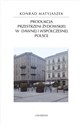 Produkcja przestrzeni żydowskiej w dawnej i współczesnej Polsce polish books in canada
