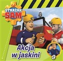 Strażak Sam 9 Akcja w jaskini - Polish Bookstore USA