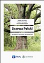 Drzewa Polski polish usa