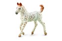 Koń Knabstrupper Foal - 