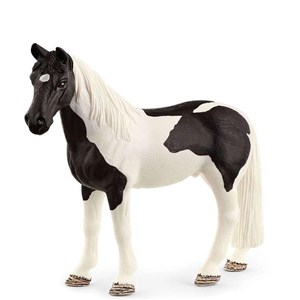 Wałach rasy Tennessee Walker polish books in canada