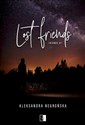 Lost Friends Friends #7 - Aleksandra Negrońska