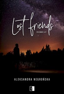 Lost Friends Friends #7 bookstore